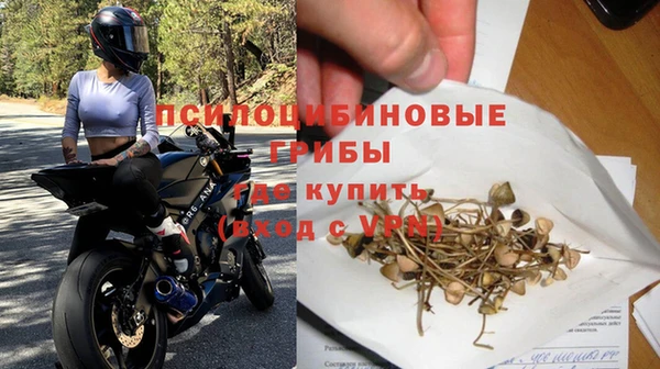 шишки Арсеньев