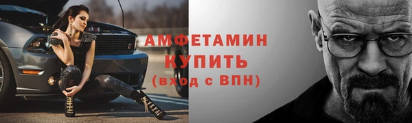 шишки Арсеньев
