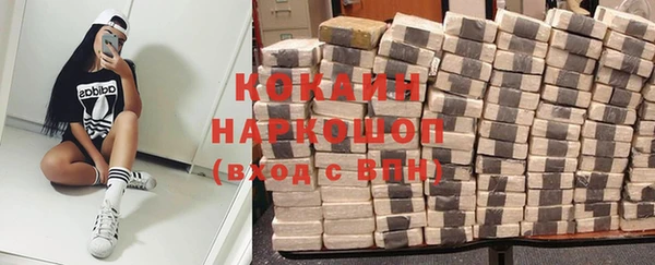 шишки Арсеньев